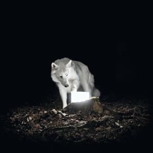 Produktbild: Surveillance