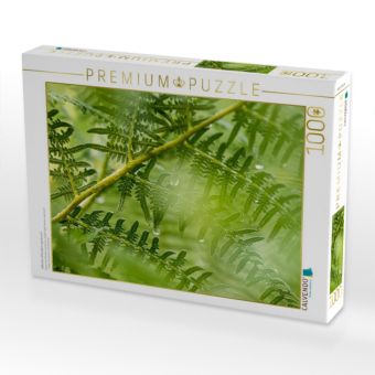 Produktbild: CALVENDO Puzzle Adlerfarn (Pteridium aquilinum) | 1000 Teile Lege-Gr&ouml;&szlig;e 64x48cm Foto-Puzzle f&uuml;r gl&uuml;ckliche Stunden
