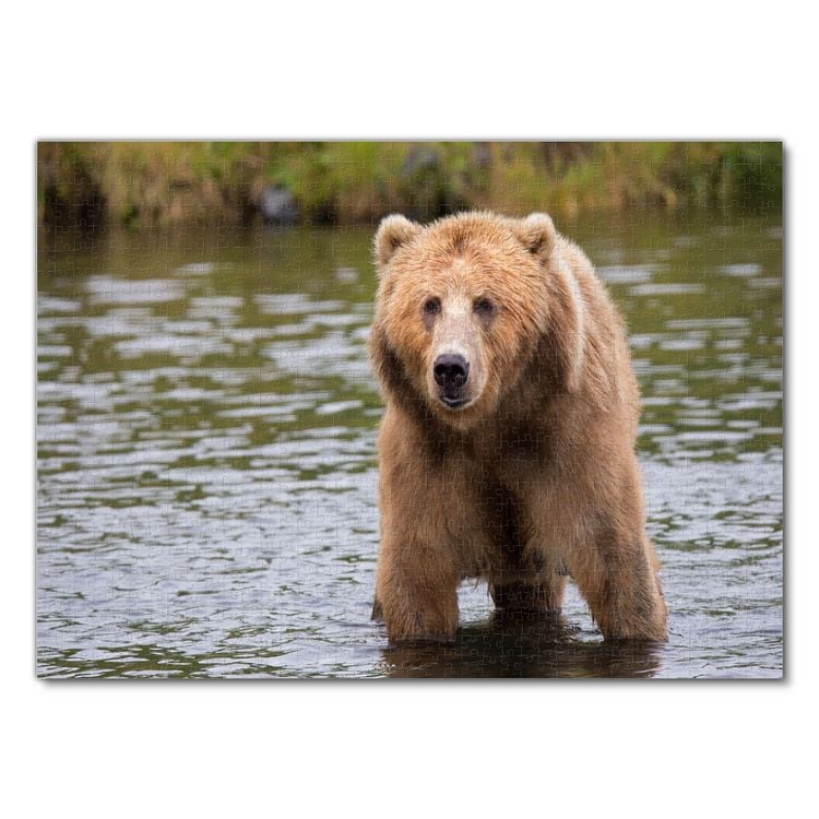 Produktbild: Lais Puzzle Braunb&auml;r 1000 Teile
