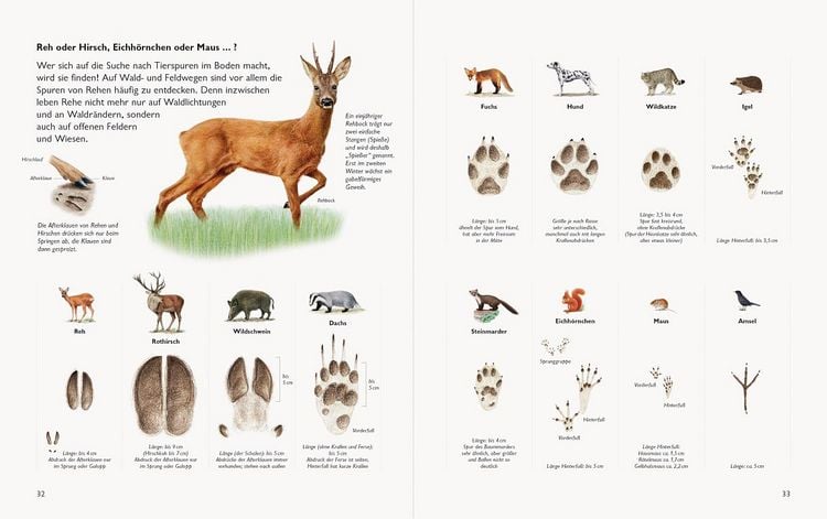 Produktbild: Wawra's Naturbuch &ndash; Unserer Natur auf der Spur, Bd. 1: S&auml;ugetiere, V&ouml;gel, Reptilien, Amphibien
