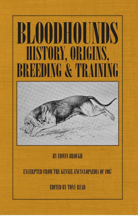 Produktbild: Bloodhounds: History - Origins - Breeding - Training