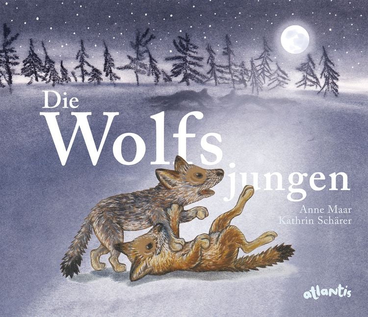 Produktbild: Die Wolfsjungen