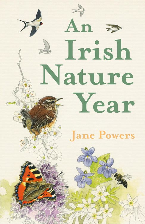 Produktbild: An Irish Nature Year