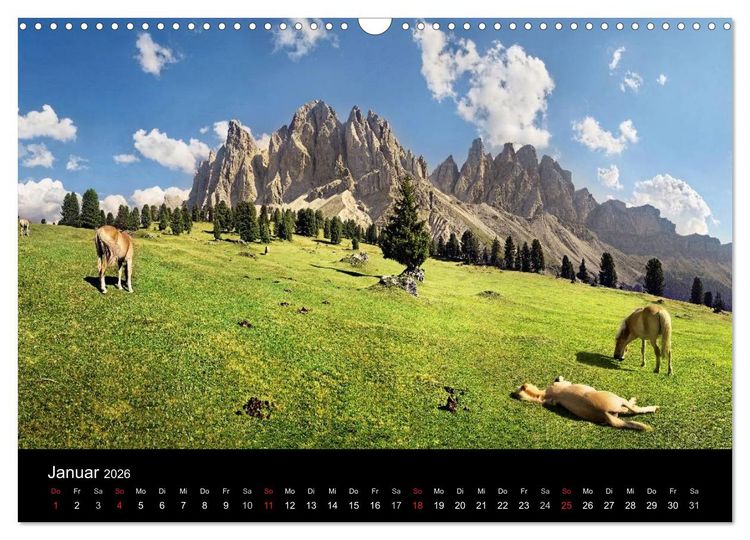 Produktbild: Wundersch&ouml;ne Haflingerwelt (Wandkalender 2026 DIN A3 quer), CALVENDO Monatskalender