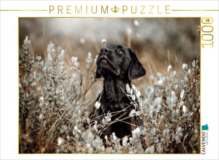 Produktbild: CALVENDO Puzzle Labrador Retriever Welpe | 1000 Teile Lege-Gr&ouml;&szlig;e 64x48cm Foto-Puzzle f&uuml;r gl&uuml;ckliche Stunden