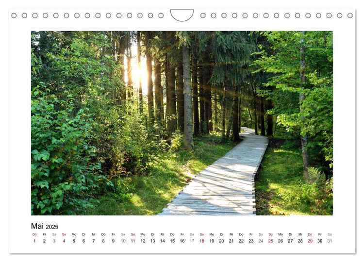 Rotes und Schwarzes Moor (Wandkalender 2025 DIN A4 quer), CALVENDO Monatskalender