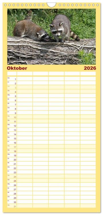Produktbild: Familienplaner 2026 - Waschb&auml;ren mit 5 Spalten (Wandkalender, 21 x 45 cm) CALVENDO
