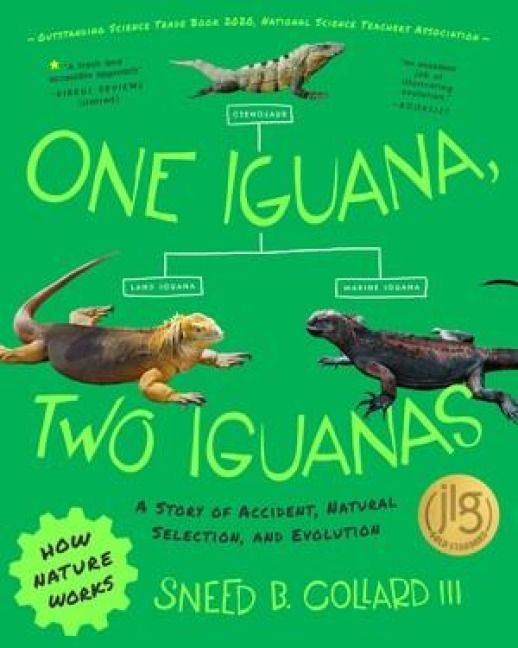 Produktbild: One Iguana, Two Iguanas