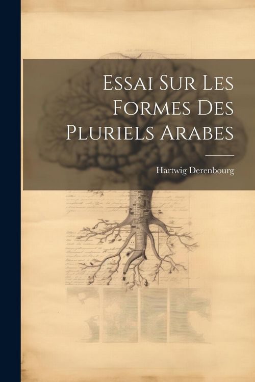 Produktbild: Essai sur les Formes des Pluriels Arabes
