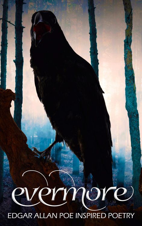 Produktbild: Evermore 2: Edgar Allan Poe Inspired Poetry
