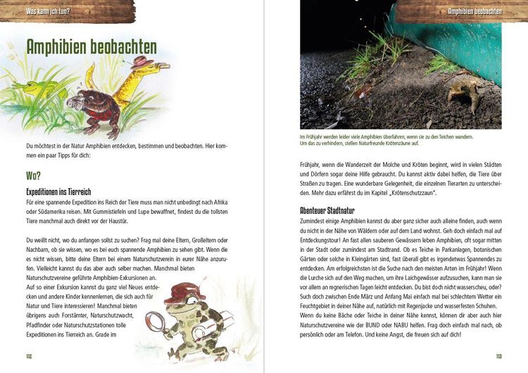 Produktbild: Abenteuer heimische Amphibien