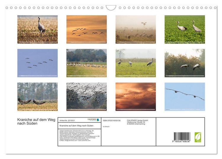 Produktbild: Kraniche auf dem Weg nach S&uuml;den (Wandkalender 2026 DIN A3 quer), CALVENDO Monatskalender