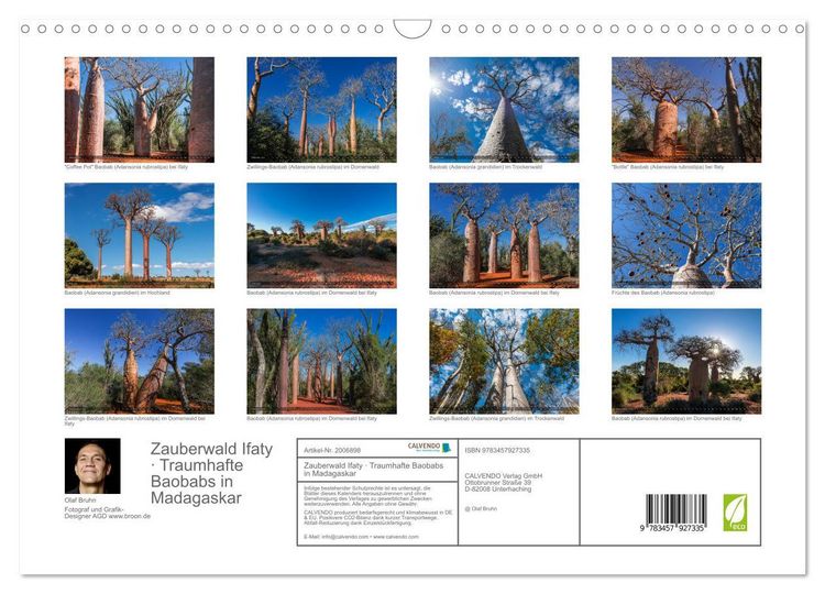 Produktbild: Zauberwald Ifaty &middot; Traumhafte Baobabs in Madagaskar (Wandkalender 2026 DIN A3 quer), CALVENDO Monatskalender