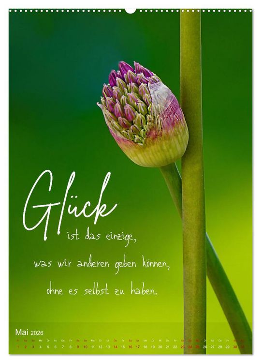 Produktbild: ICH W&Uuml;NSCHE DIR GL&Uuml;CK - 12 Monate mit inspirierenden Gl&uuml;ckszitaten (hochwertiger Premium Wandkalender 2026 DIN A2 hoch), Kunstdruck in Hochglanz