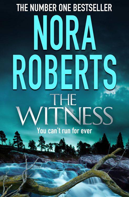 Produktbild: The Witness