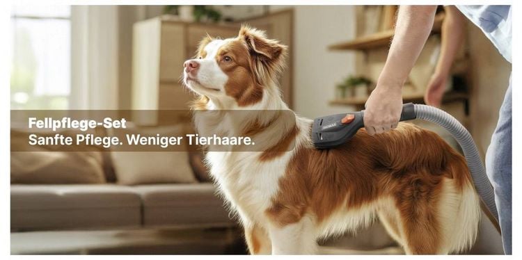 Produktbild: Thomas 787279 Tierhaarb&uuml;rste