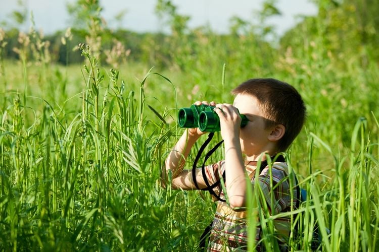 Produktbild: Fernglas gr&uuml;n 3-fache Vergr&ouml;sserung