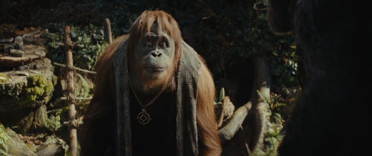 Produktbild: Planet der Affen - New Kingdom