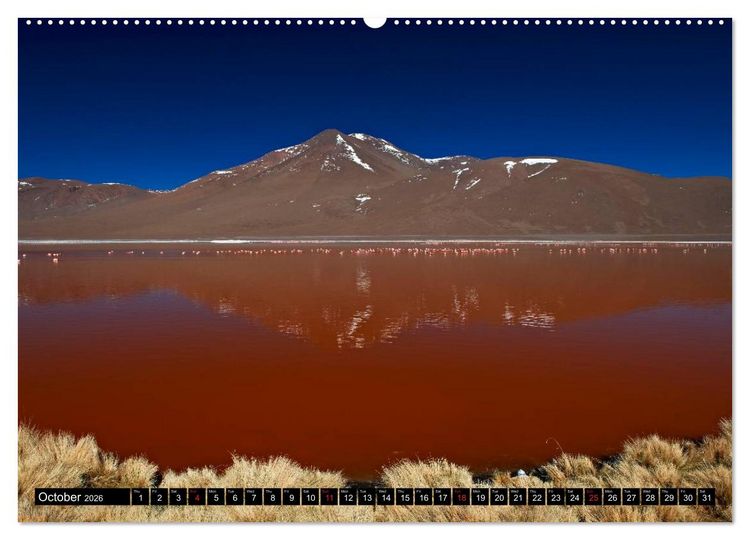 Produktbild: Bolivia Andean landscapes / UK-Version (High Quality Premium Wall Calendar 2026 DIN A2 landscape),CALVENDO 12 Month Wall Calendar