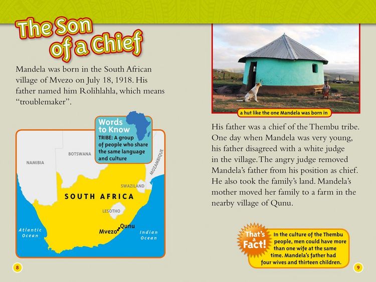 Produktbild: Nelson Mandela
