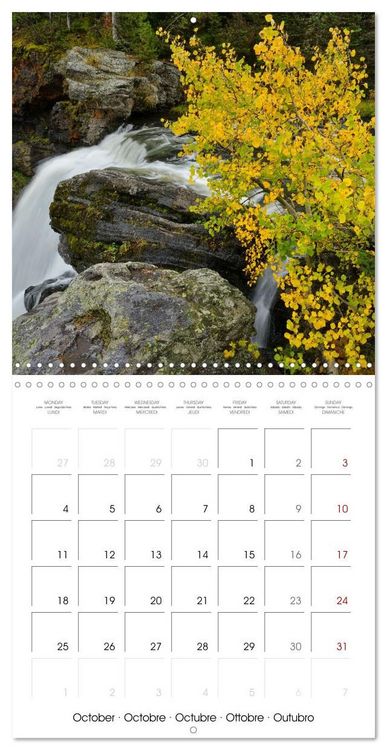 Produktbild: Yellowstone National Park (Wall Calendar 2027 12 &times; 12 Inch) CALVENDO 12 Month Wall Calendar