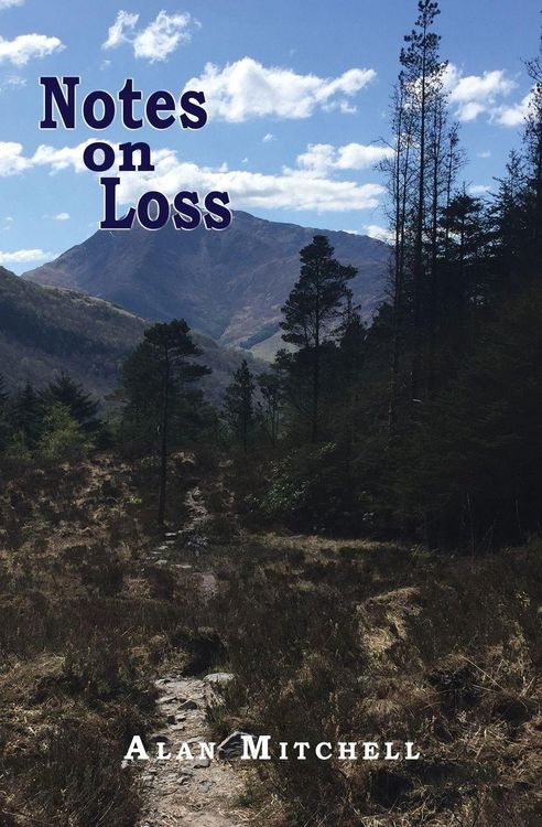 Produktbild: Notes on Loss
