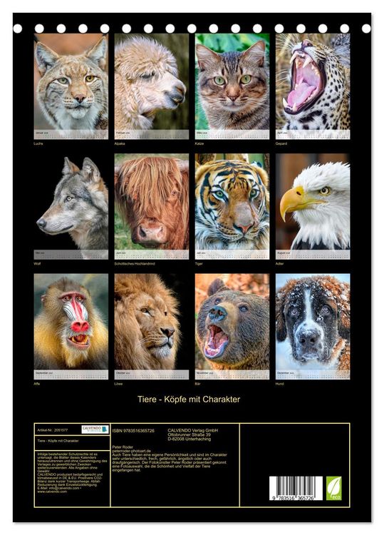 Produktbild: Tiere - K&ouml;pfe mit Charakter (Tischkalender 2026 DIN A5 hoch), CALVENDO Monatskalender