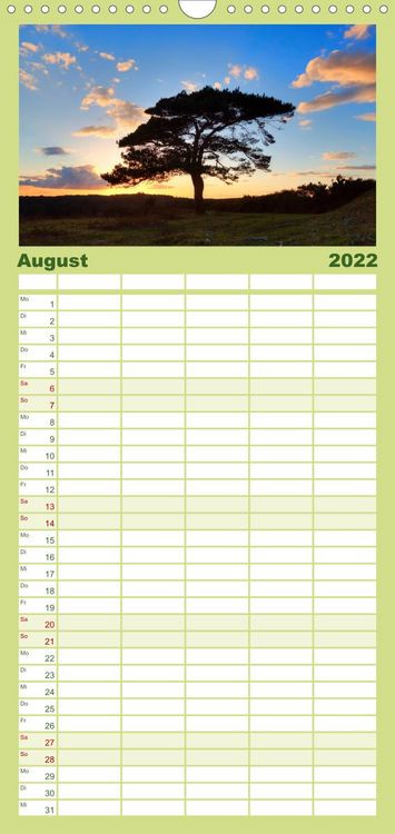 Produktbild: New Forest - England - Familienplaner hoch (Wandkalender 2022 , 21 cm x 45 cm, hoch)