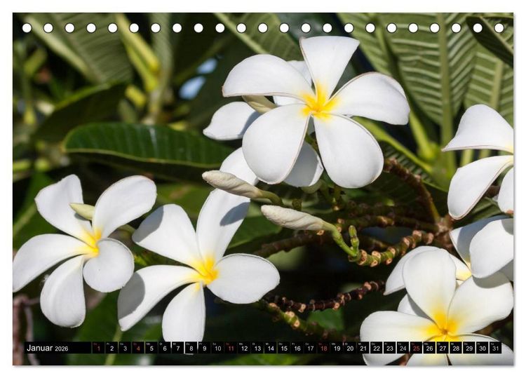 Produktbild: Hawai'i - Teil 1 (Tischkalender 2026 DIN A5 quer), CALVENDO Monatskalender