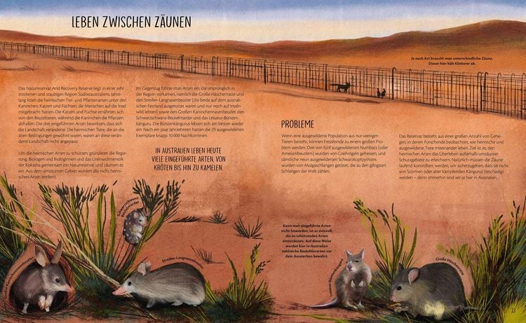 Produktbild: Zur&uuml;ck in die Wildnis