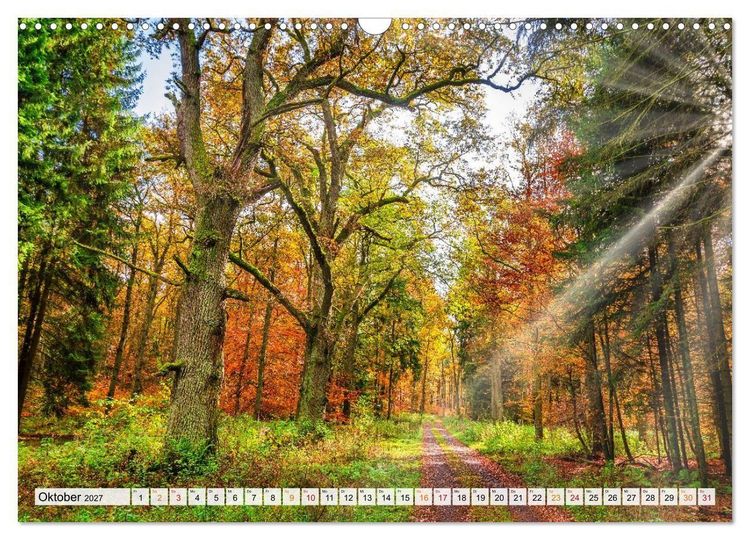 Produktbild: Naturpark Reinhardswald - Wo die Sababurg auf die Weser trifft (Wandkalender 2027 DIN A3 quer), CALVENDO Monatskalender