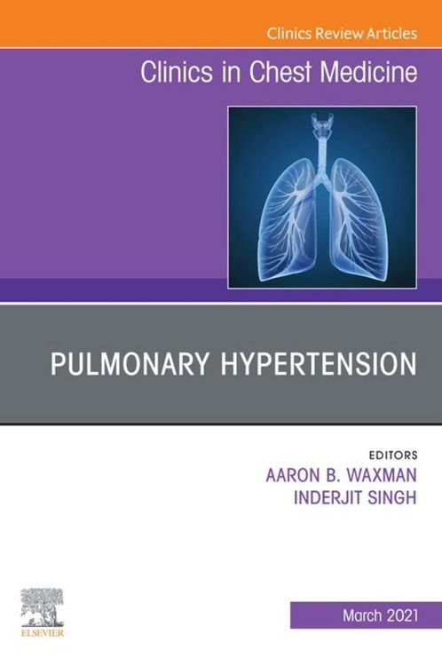 Produktbild: Pulmonary Hypertension, an issue of Clinics in Chest Medicine