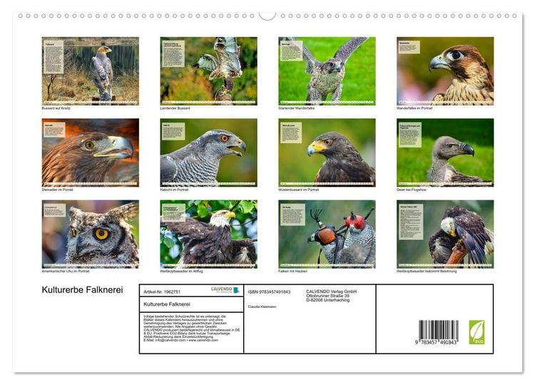 Produktbild: Kulturerbe Falknerei (hochwertiger Premium Wandkalender 2026 DIN A2 quer), Kunstdruck in Hochglanz