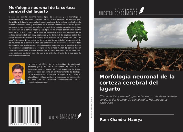 Produktbild: Morfolog&iacute;a neuronal de la corteza cerebral del lagarto