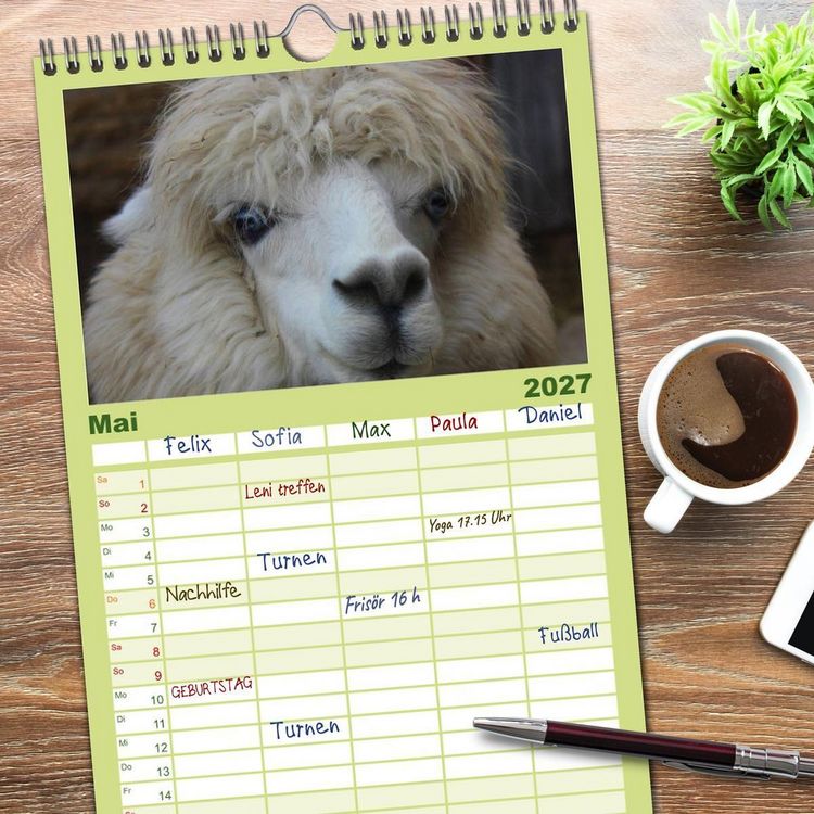 Produktbild: Familienplaner 2027 - Alpakas und Lamas mit 5 Spalten (Wandkalender, 21 x 45 cm) CALVENDO