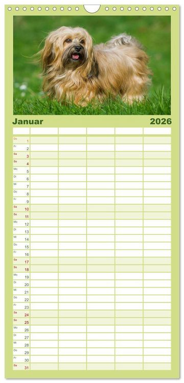 Produktbild: Familienplaner 2026 - Havaneser - Herz auf 4 Pfoten mit 5 Spalten (Wandkalender, 21 x 45 cm) CALVENDO
