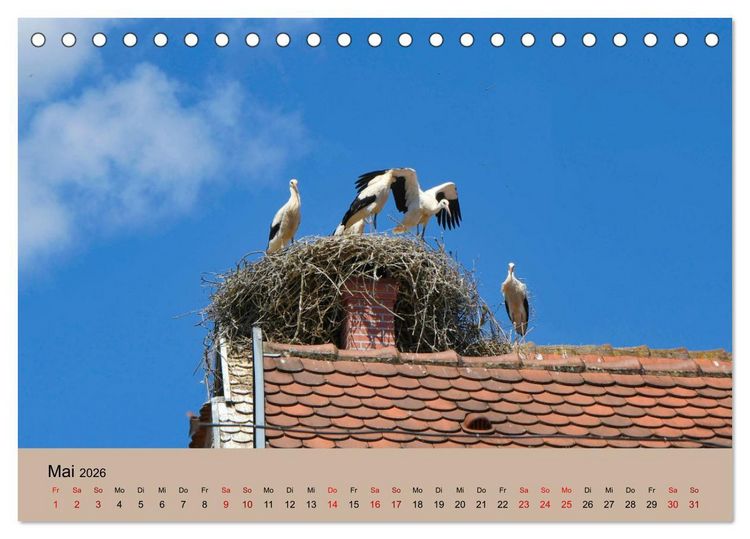 Produktbild: Der Storchenkalender (Tischkalender 2026 DIN A5 quer), CALVENDO Monatskalender