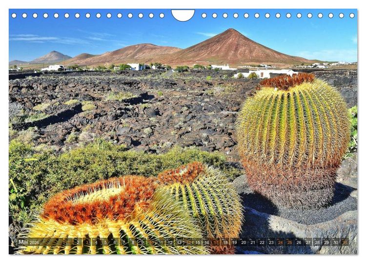 Produktbild: Lanzarote. Wunderwelt der Feuerberge (Wandkalender 2026 DIN A4 quer), CALVENDO Monatskalender
