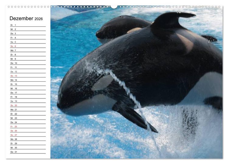 Produktbild: Wale. Kolosse der Meere (hochwertiger Premium Wandkalender 2026 DIN A2 quer), Kunstdruck in Hochglanz