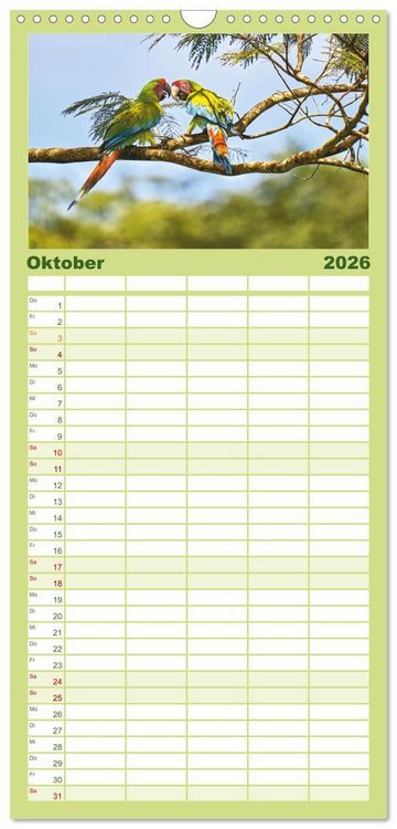 Produktbild: Familienplaner 2026 - Costa Ricas gefiederte Pracht mit 5 Spalten (Wandkalender, 21 x 45 cm) CALVENDO
