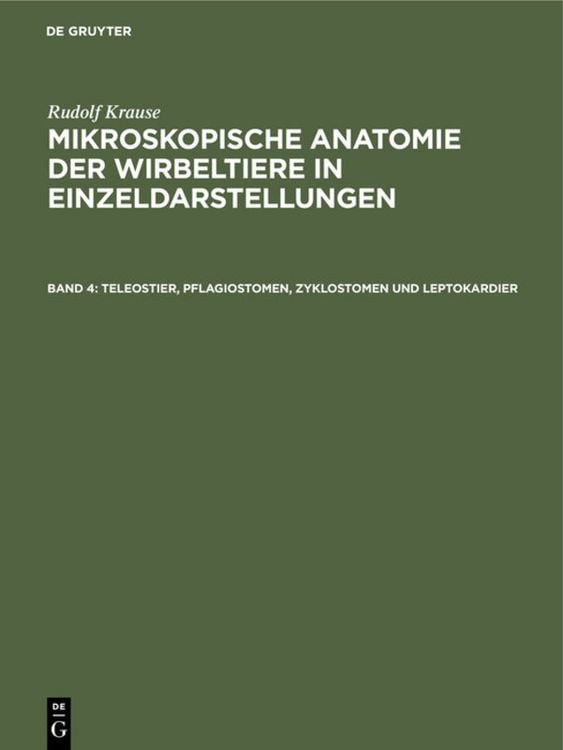 Produktbild: Teleostier, Pflagiostomen, Zyklostomen und Leptokardier