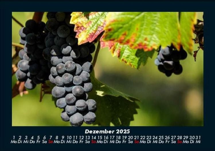 Produktbild: Fr&uuml;chte 2025 Fotokalender DIN A5