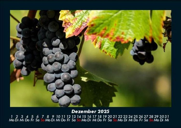Produktbild: Fr&uuml;chte 2025 Fotokalender DIN A5