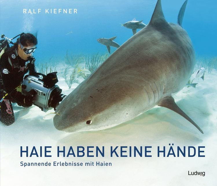 Produktbild: Haie haben keine H&auml;nde &ndash; Spannende Erlebnisse mit Haien