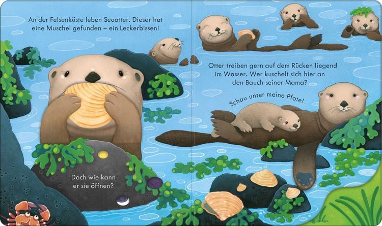 Produktbild: Guck mal, wer da ist! An der K&uuml;ste
