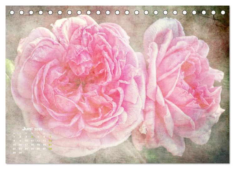 Produktbild: Rosen Romantik (Tischkalender 2026 DIN A5 quer), CALVENDO Monatskalender