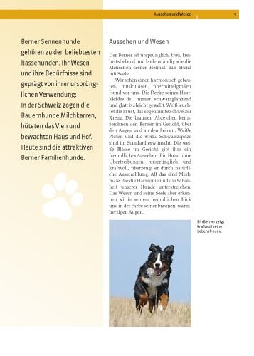 Produktbild: Berner Sennenhund