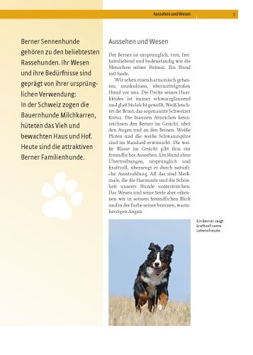 Produktbild: Berner Sennenhund