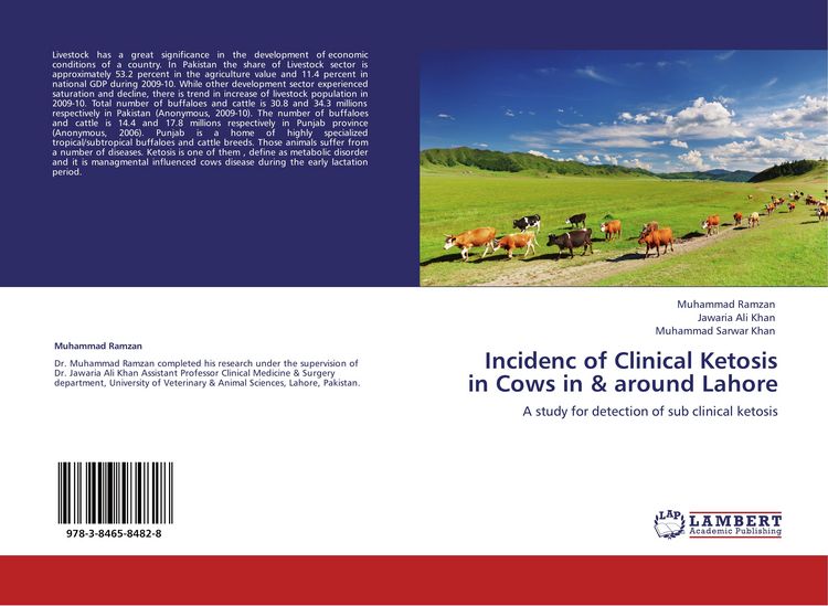 Produktbild: Incidenc of Clinical Ketosis in Cows in & around Lahore