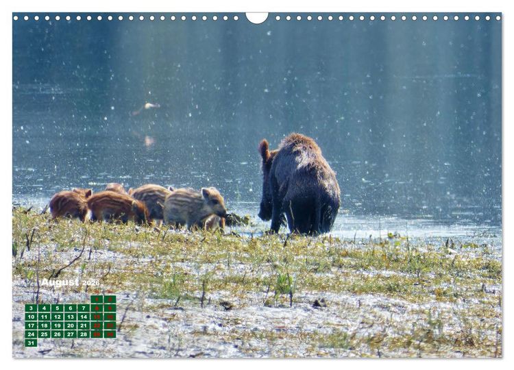 Produktbild: Herrliches Arno Tal - Wanderurlaub in der Toskana (Wandkalender 2026 DIN A3 quer), CALVENDO Monatskalender